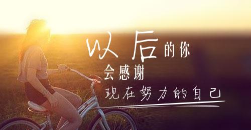 人生的第五颗枣,人生的第五个阶段