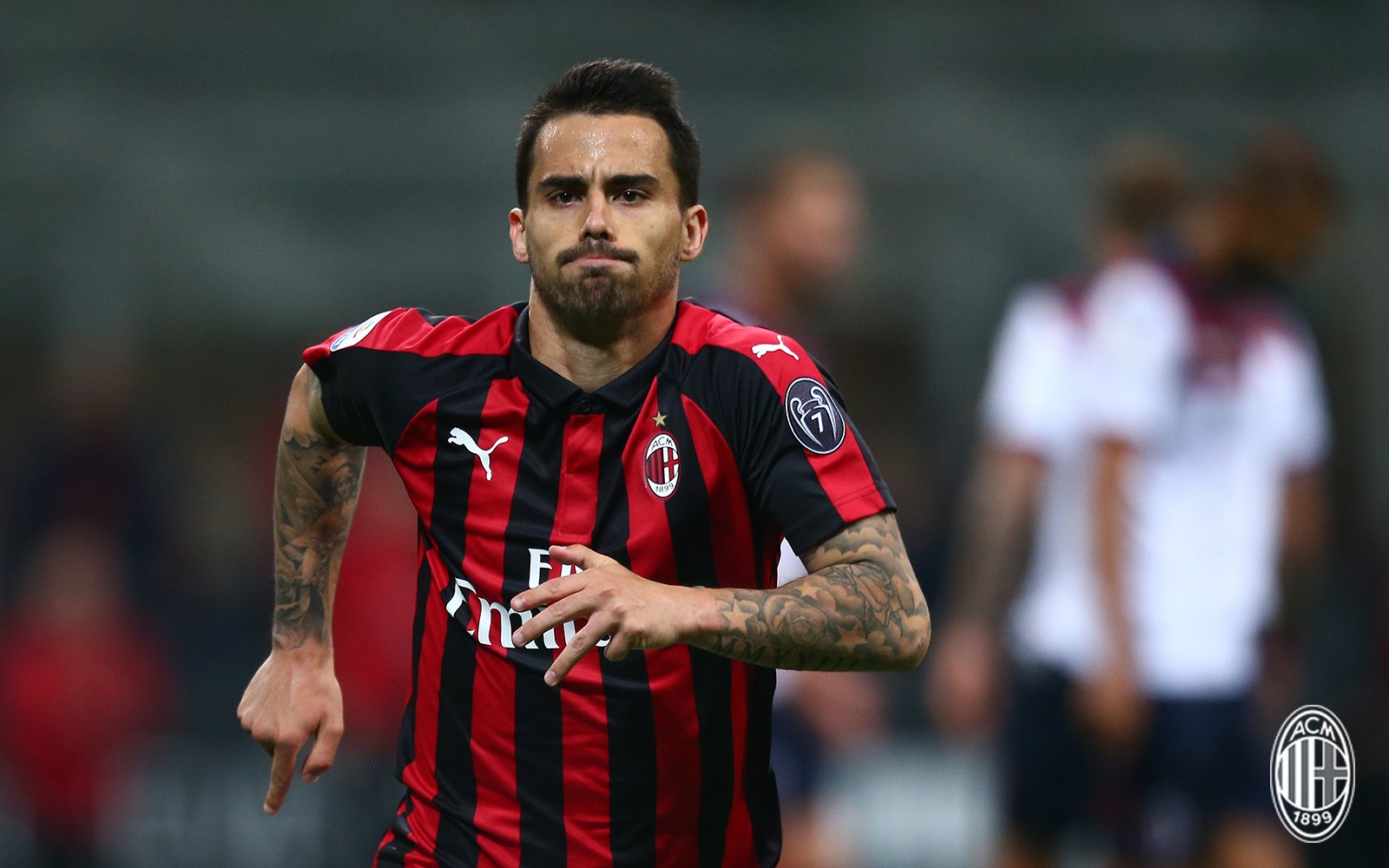 远征红黑军,板鸭篇