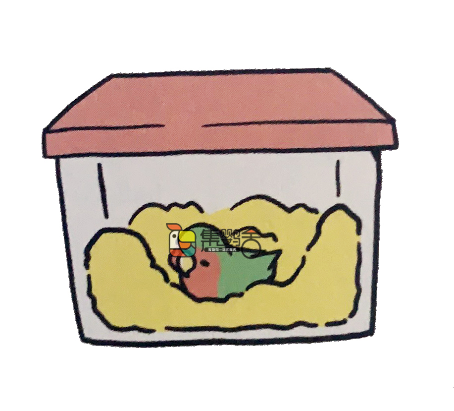 鹦鹉意外受伤,鹦鹉受伤怎么治疗