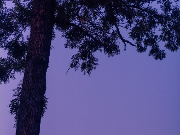 拯救万千少女,寻求生发秘籍