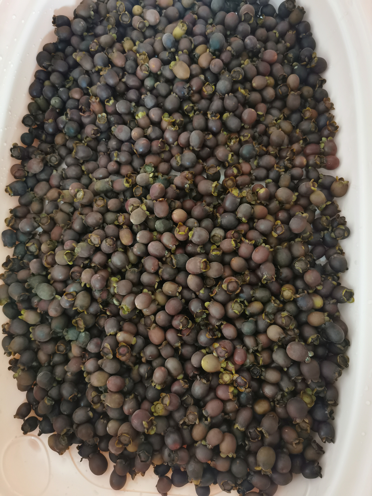 捻子酒半年后要把捻子捞出来吗,捻子酒制作方法