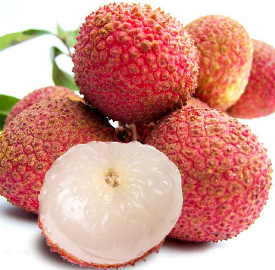 杨贵妃吃的荔枝是四川还是岭南的,广东杨贵妃