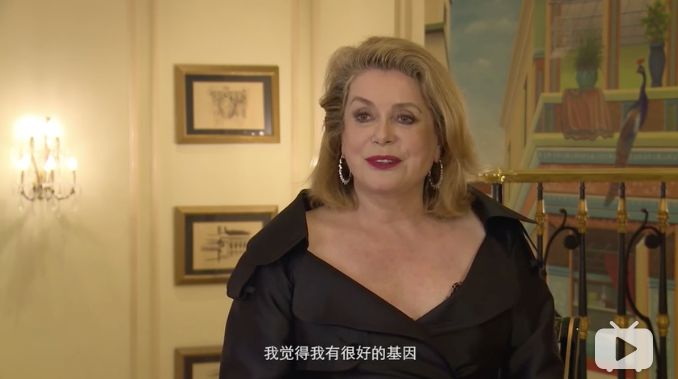 法国十大顶级女神,法国最美的女人超模