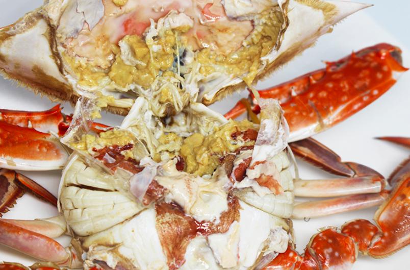 梭子蟹死了放在冰箱保鲜还可以吃,烧熟的梭子蟹放冰箱冷藏能放几天