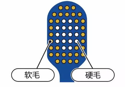 鏃ユ湰绁栧瓩涓変唬,鏃ユ湰濂堣壇鐗欏埛