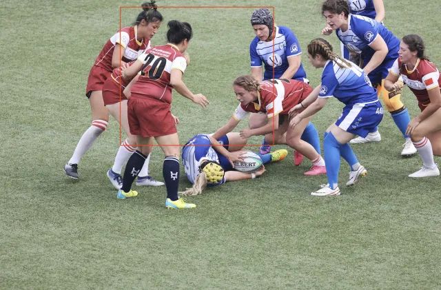 佳能rf100-500mm镜头拍鸟,佳能长焦相机100倍