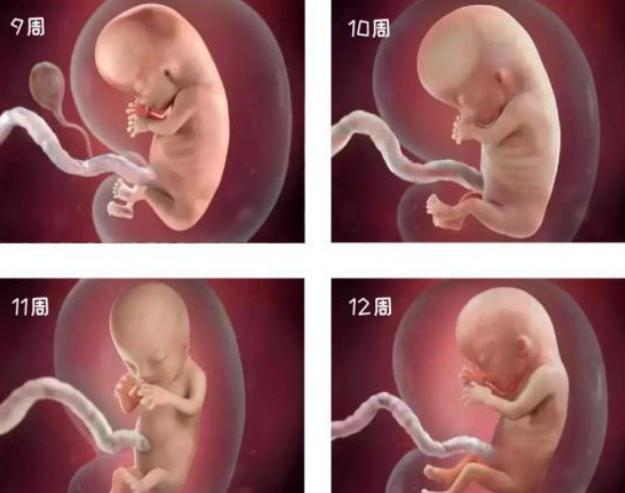 先兆流产口服黄体酮好还是打针好,黄体酮和地屈孕酮先兆流产