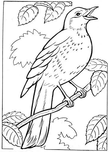 画画入门教程干货博主,基础入门画画必知