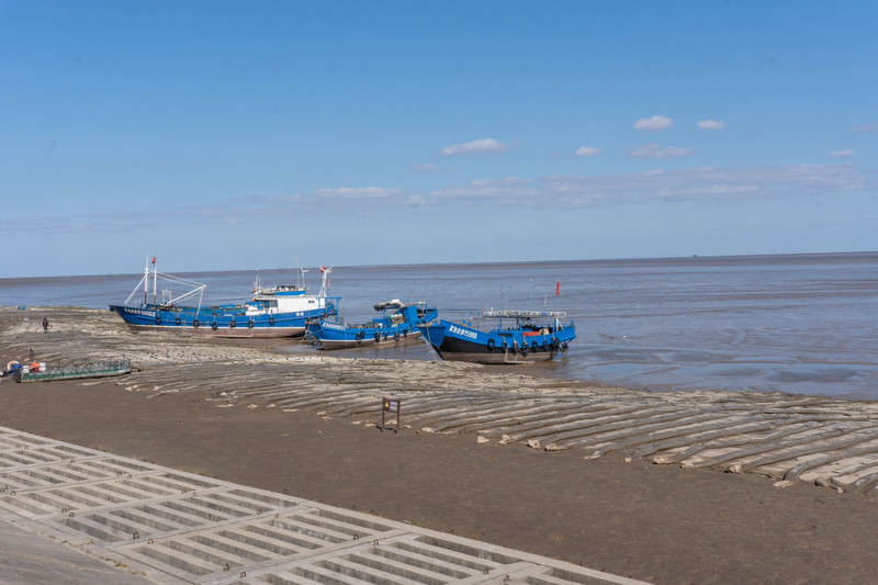 森林麋鹿公园,森林麋鹿
