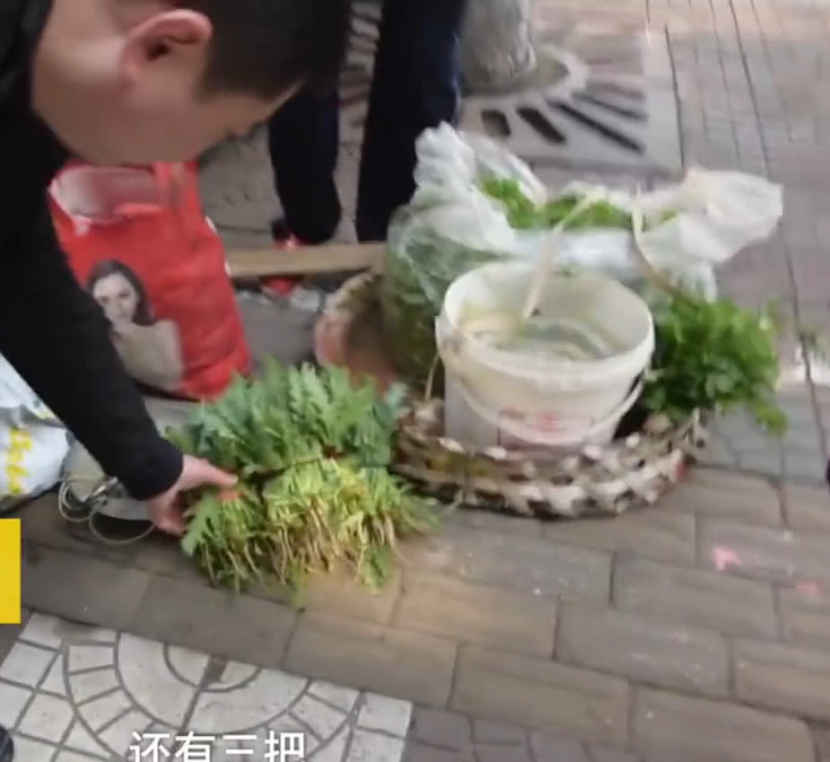 无知大妈在警局大门前卖*粟罂**苗，被抓后表示：不知是犯法行为