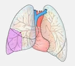 如何避免久坐导致的腿肿,女性长期久坐腿肿容易得什么病