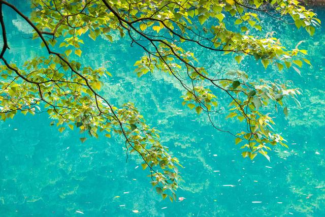 广东藏了一个世外桃源,广东九寨沟门票多少钱