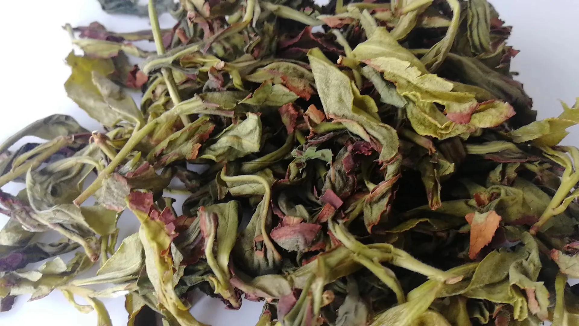 喝茶回甘的背后原来有这些秘密,喝茶回甘是什么原理