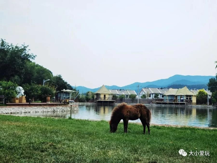 在北京国庆还有房的亲子酒店就看这一篇!这才叫手慢无的种草清单
