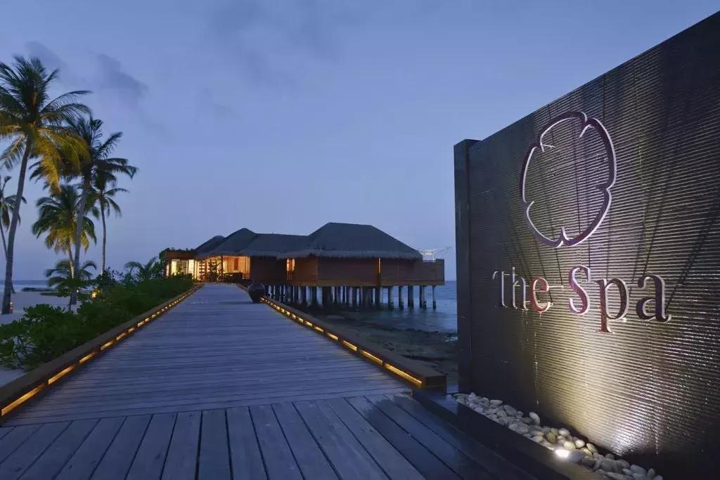 马尔代夫浮潜珊瑚最好的岛,马尔代夫魔富士岛浮潜攻略