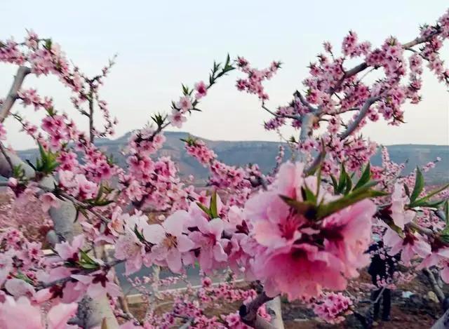 野钓怎么找钓位最简单方法,野钓这三个钓点千万不要选