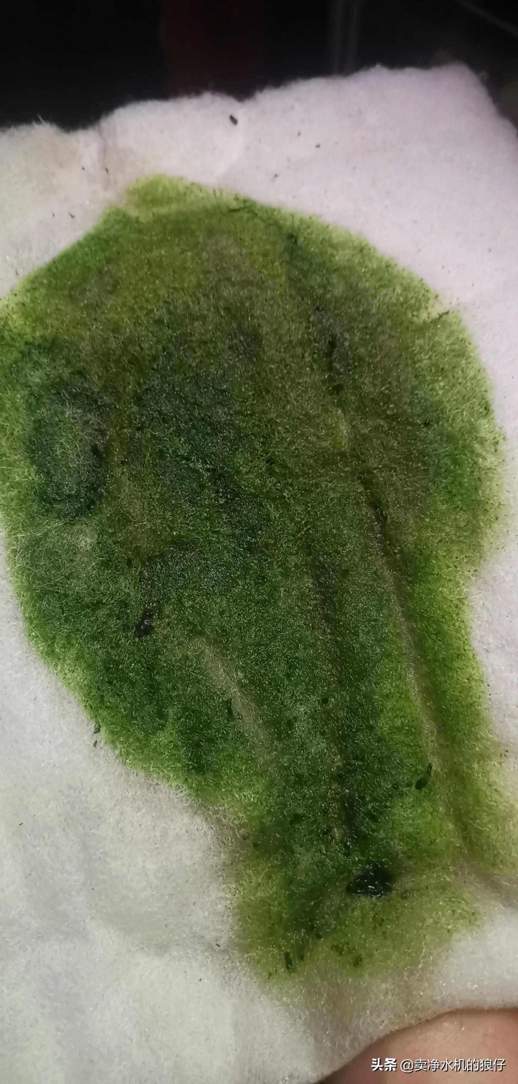 如何让小鱼缸变成空气缸,如何让鱼缸出现空气缸