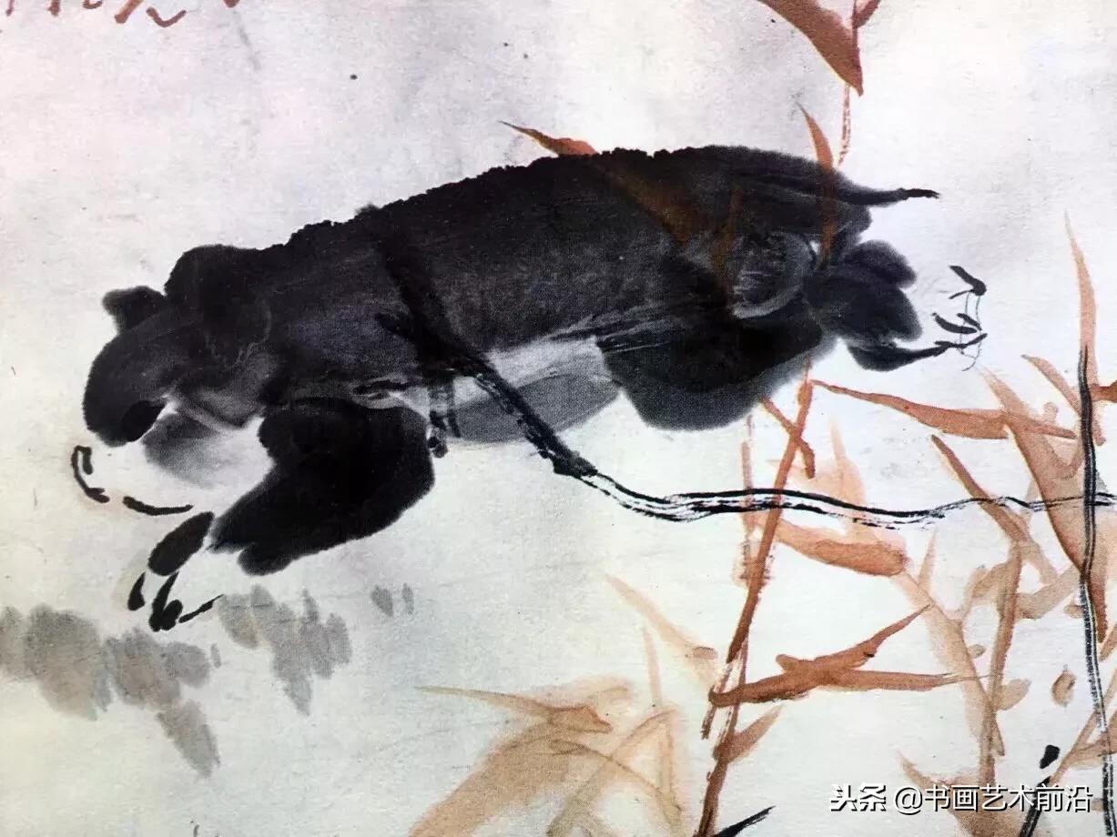 属猪的人2019年运势,属猪人2019的运程如何