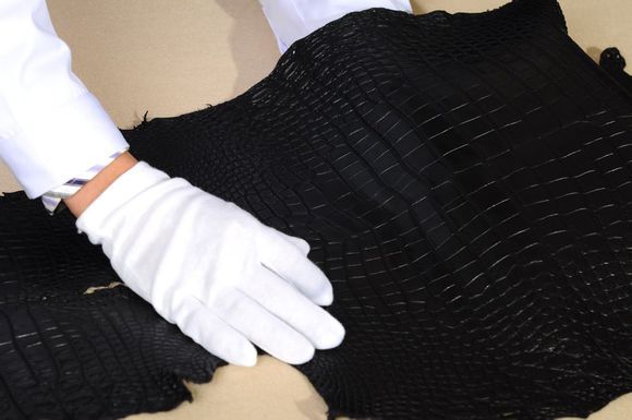 怎么选鳄鱼皮腰带,牛皮腰带好还是鳄鱼皮腰带好