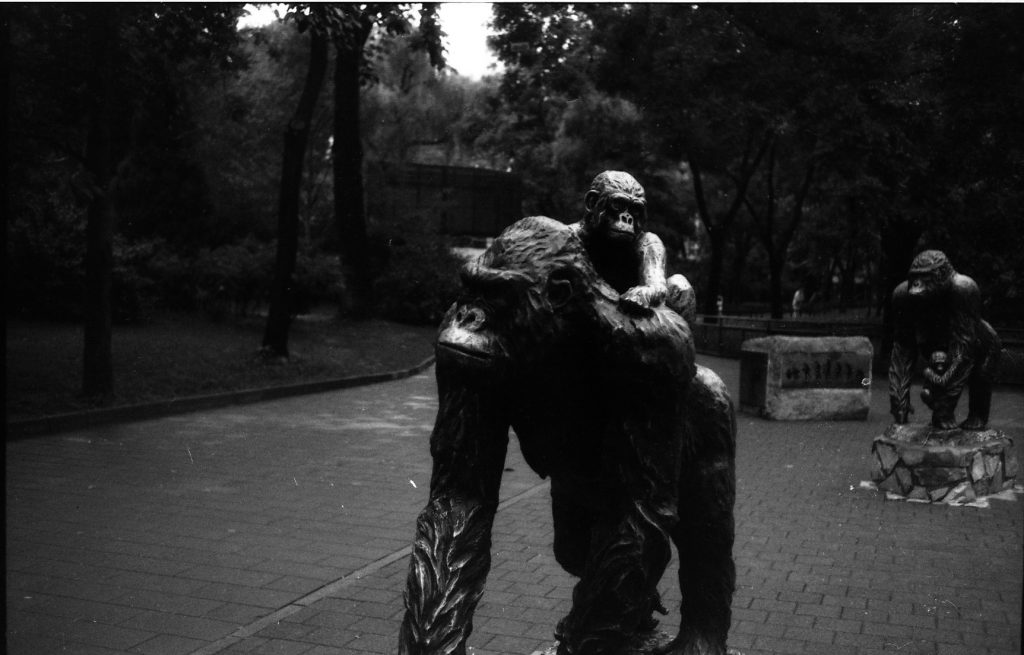 禄来35b使用说明,禄来35s铜顶