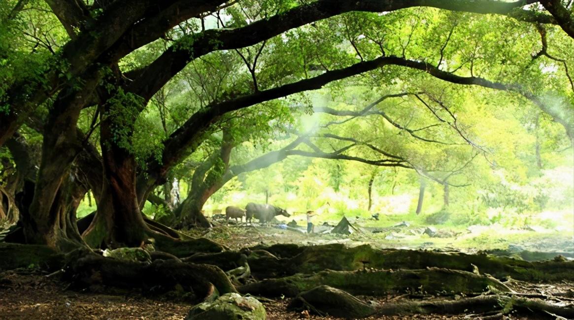 广西桂林阳朔旅游必去景点,桂林阳朔西街情侣旅游