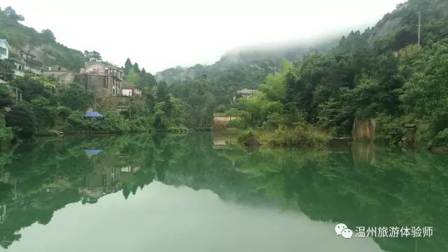 茶山寻幽处全文,茶山美景如仙境