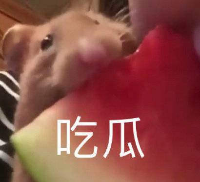 刘晓庆回顾十六年前的逃税案始末,刘晓庆当年欠了多少税款