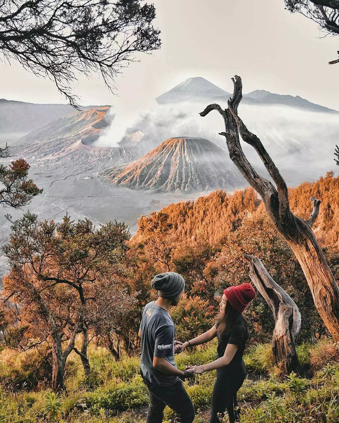 免签摩洛哥免费,摩洛哥免签免费