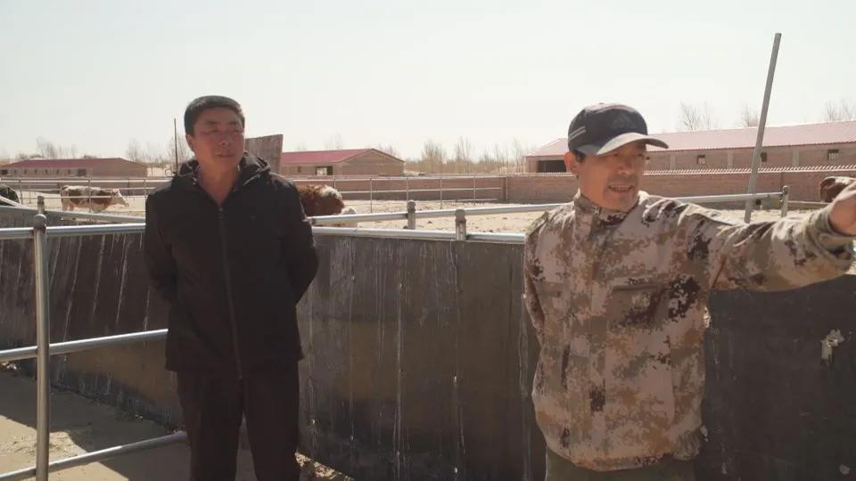 【同心奔小康】小八仙筒村：牛人·牛事·牛日子