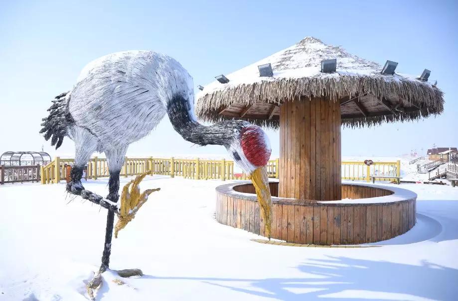 下雪后的海边图片大全,六月份的红海滩