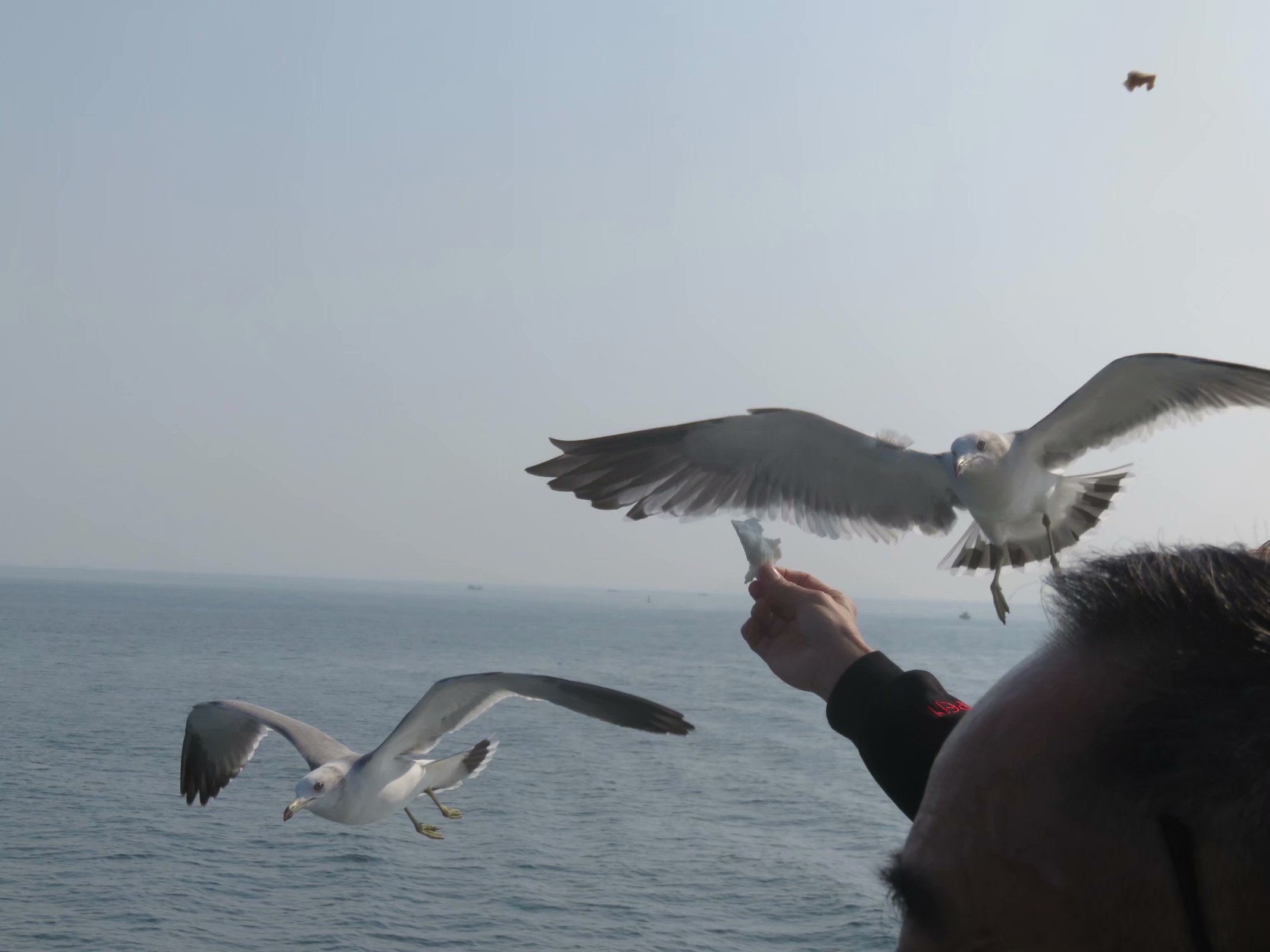 韩国首尔行day2,韩国首尔街景