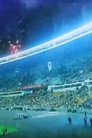 辽宁省第十四届运动会抚顺开幕式,辽宁省第十四届运动会抚顺代表队