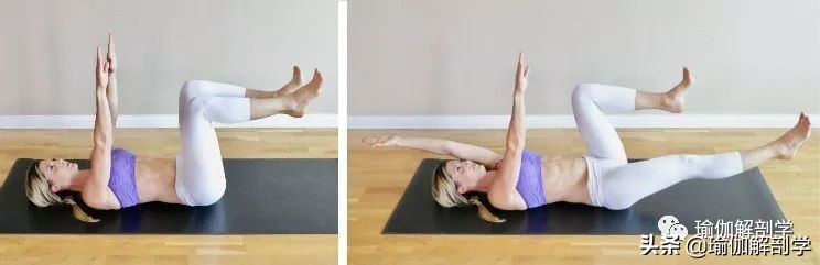 不伤腰瑜伽初级教程在家练,侧腰部练习的瑜伽初学者