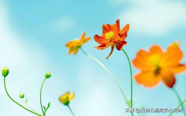 分手后发现怀孕还会和前任联系吗,刚分手了发现怀孕了如何告诉前任