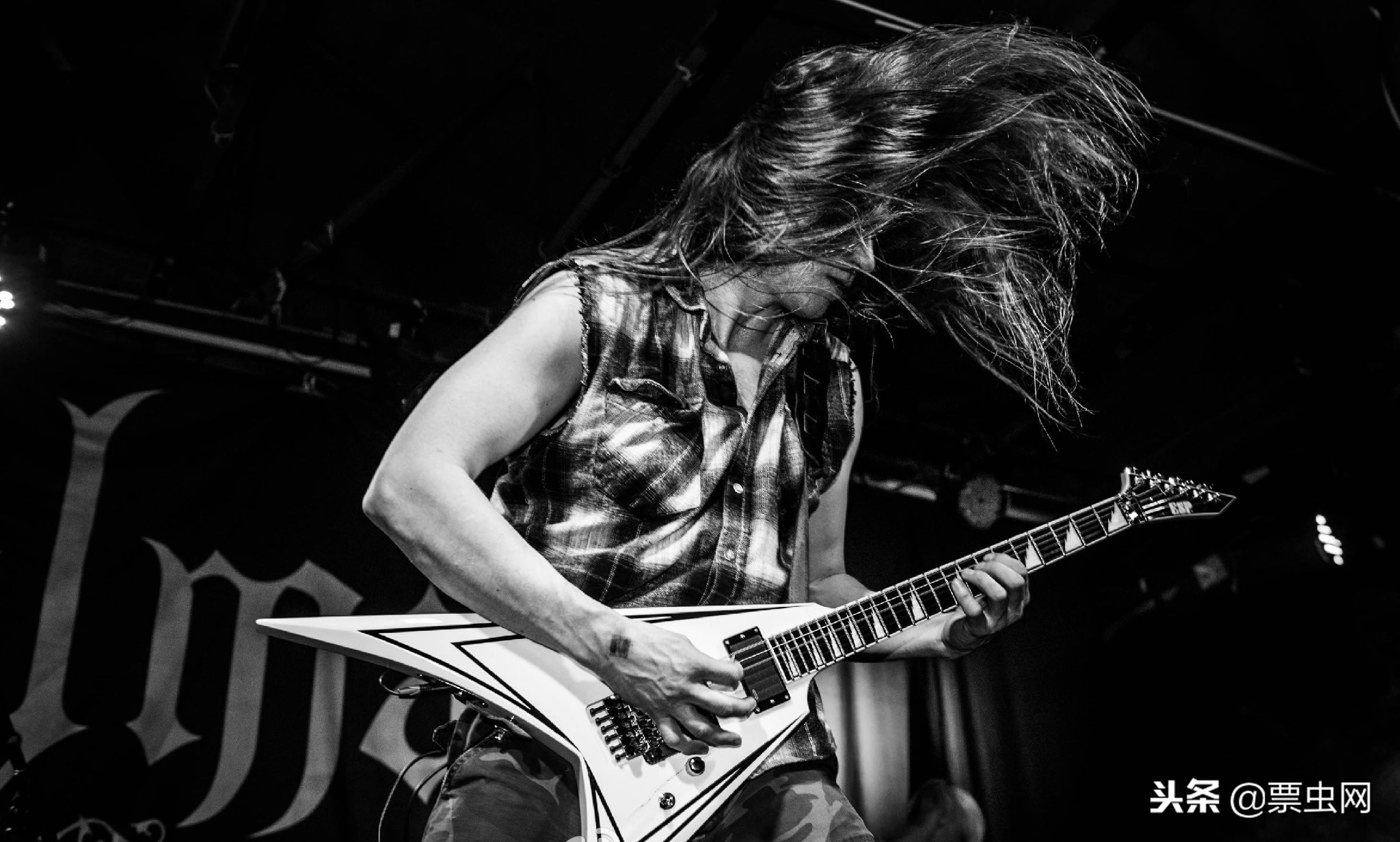 沼泽之王全集,沼泽之王kalmah