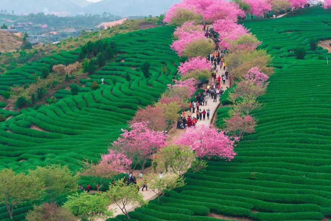 这才是一二月最值得去的13个旅行地，千万别去错了