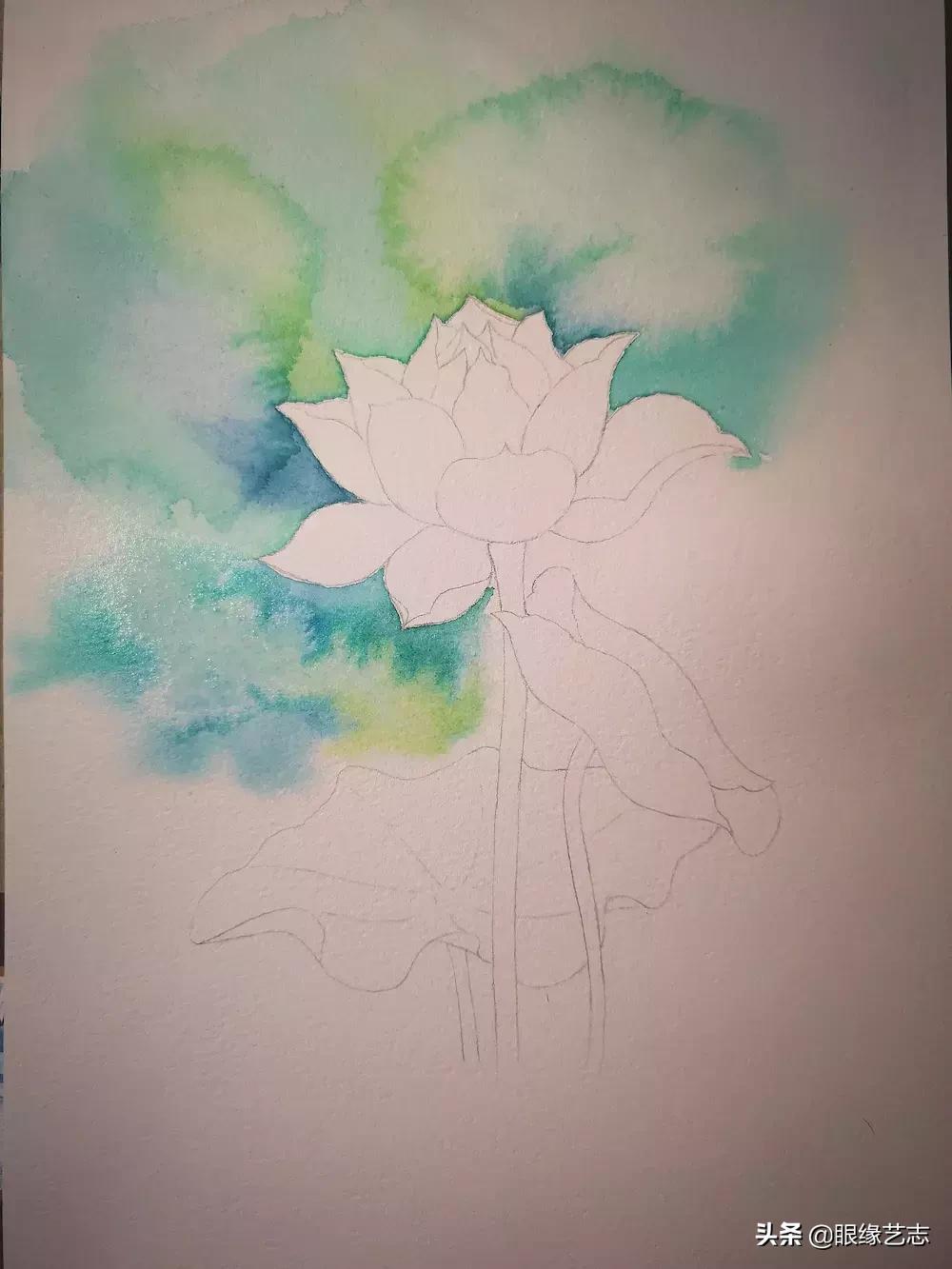 水彩莲花画法教程,白色荷花水彩画法教程