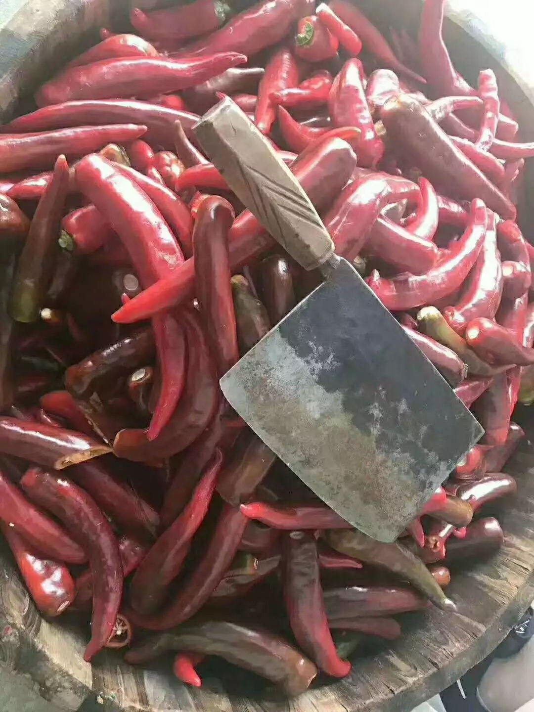 东湖印象汉寿生态甲鱼体验馆,东湖印象生态甲鱼馆悠游小镇