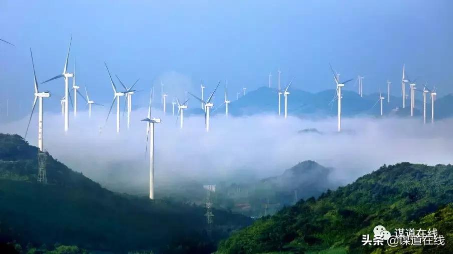 一位候鸟对苏马荡最美小地方的释义,及其未来发展要讲的话