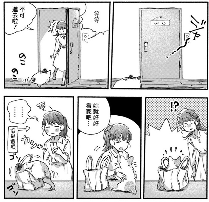 清新治愈！和3只猫一起生活的日子！又要骗我养猫！