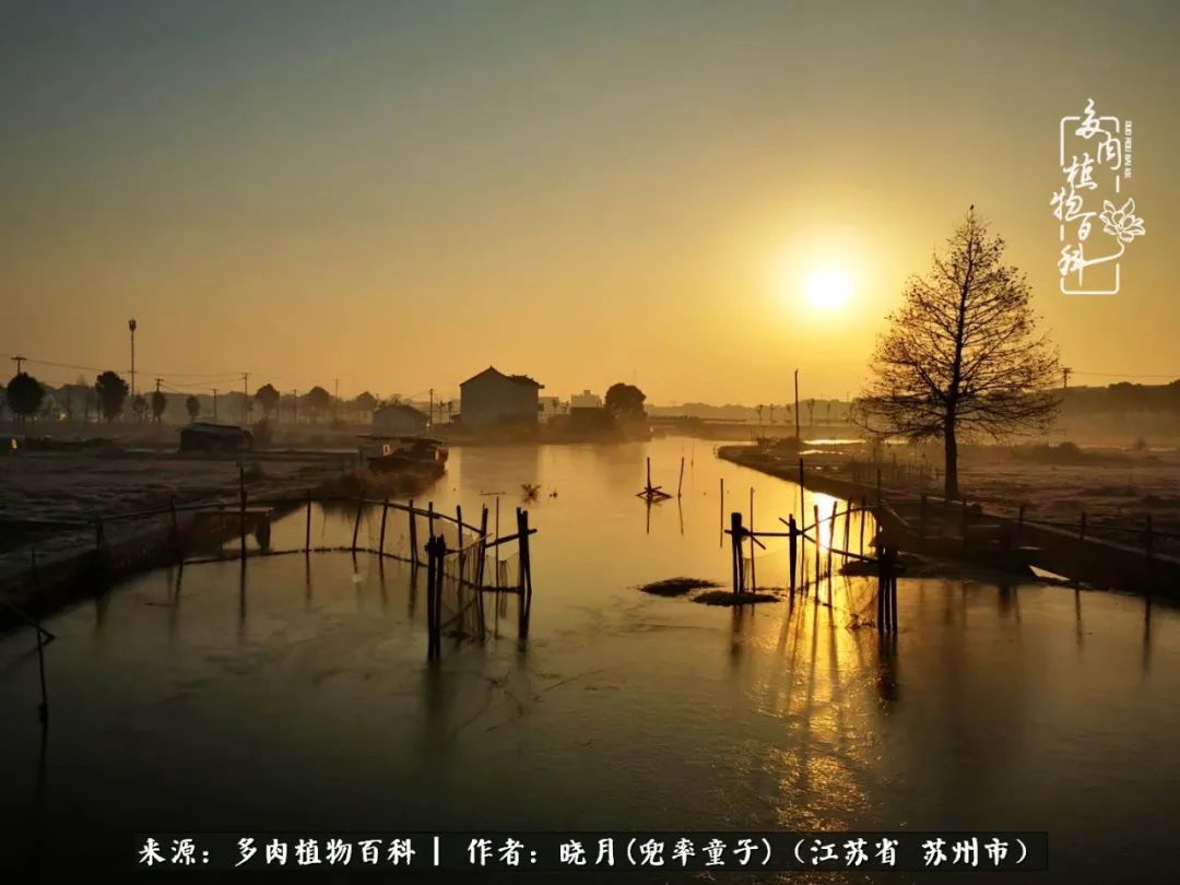 六年时间环游22个国家，却被多肉小萌物征服