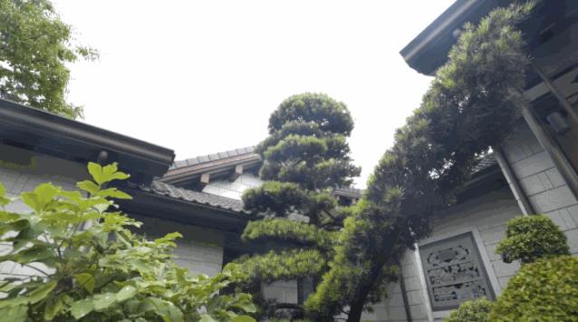 6亩8个卧室，上千万园林，200吨红木，1.6亿江南大户竟是这样的？