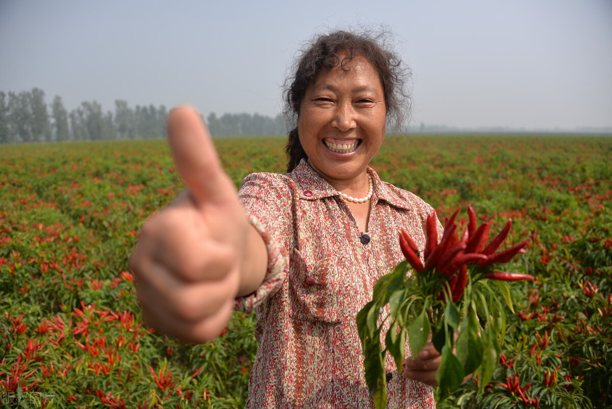 赵有成/：老农民的三则小故事