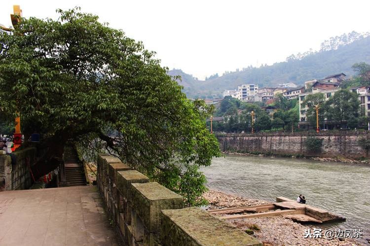 探访茶马古道老茶,马边旅行攻略