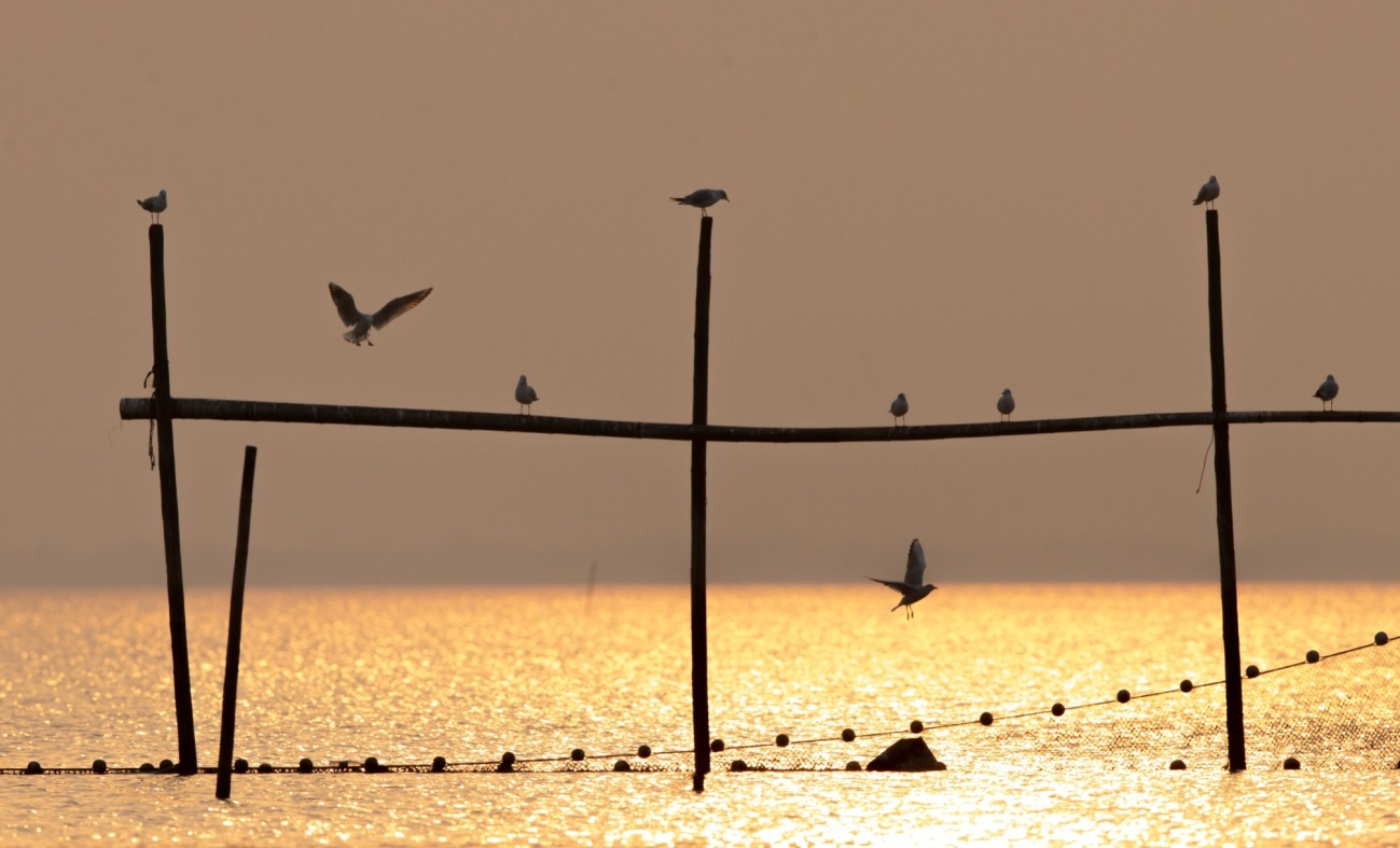 用镜头捕捉瞬间用光影记录感动,用镜头记录人生用心灵感悟美好