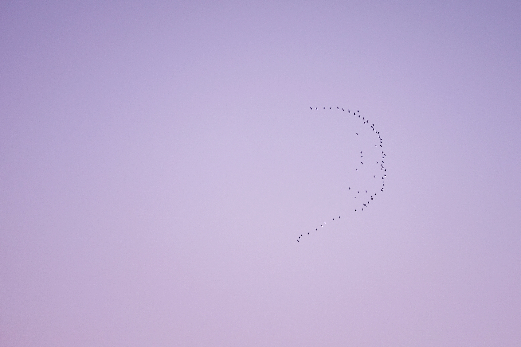 到了北戴河之后怎么去海滨浴场,北戴河怪楼奇园景区今天可以玩吗