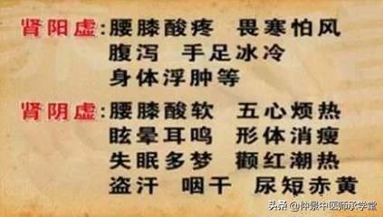 张仲景治肾阴阳两虚吗,阴阳两虚到底先补什么