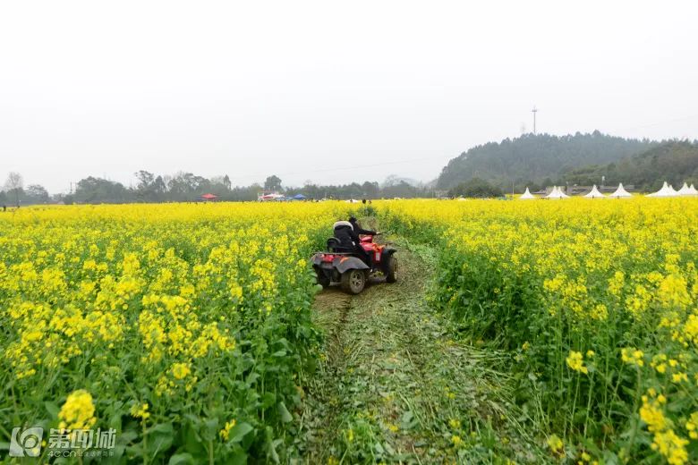 300套轻奢别墅设计,400套极简风格别墅
