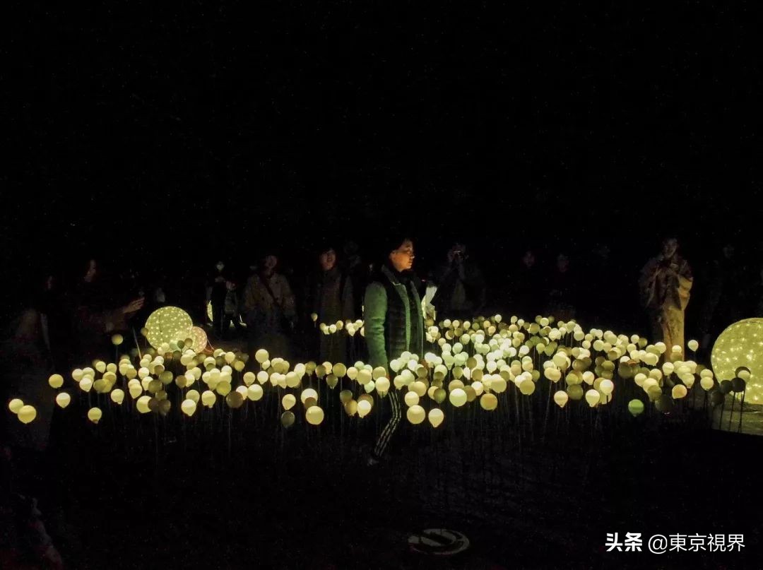 我在京都，攒下一整个春日的绝美樱色送给你。