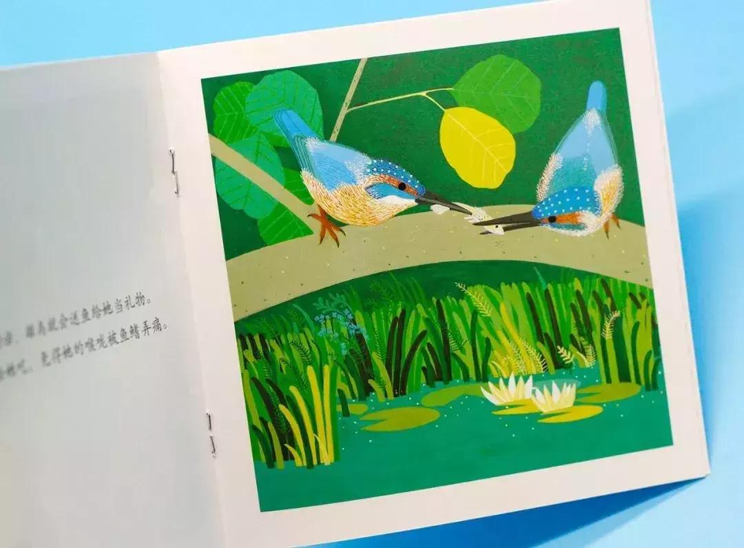 意大利畅销童书,意大利绘本世界十大著名童话